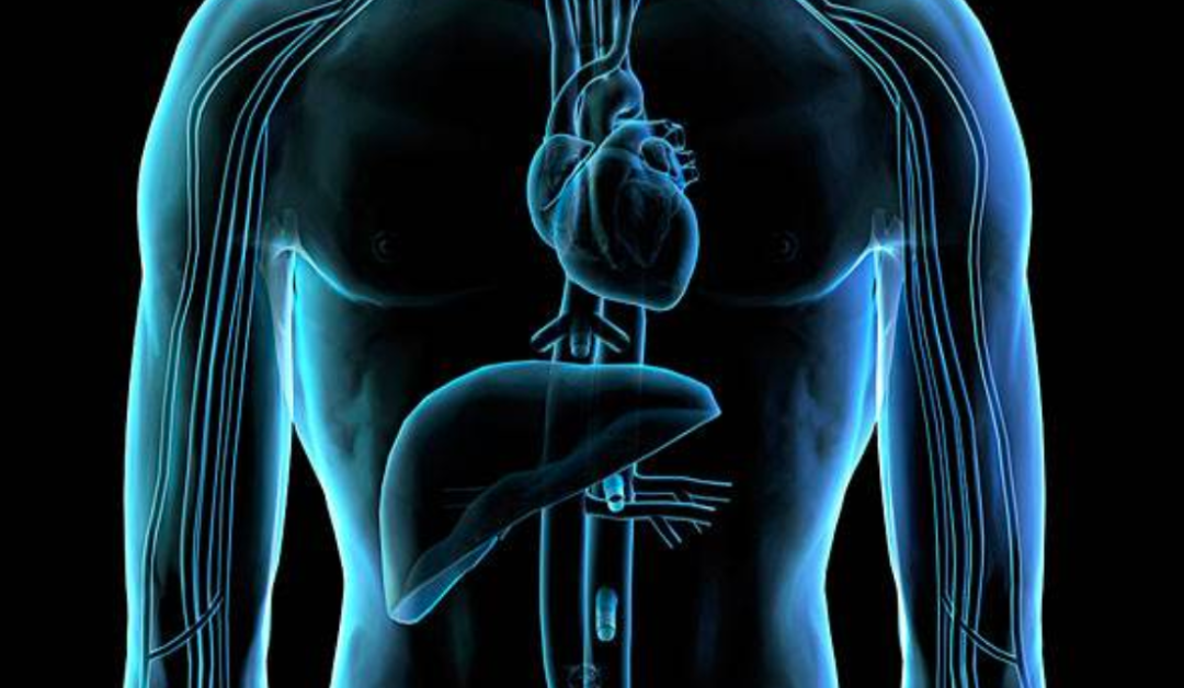 化疗的人为什么要补硒（化疗病人补硒有效果吗）-硒宝网