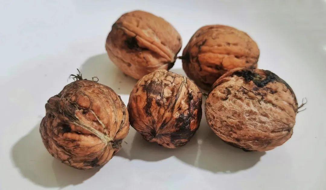 补硒解毒重金属(硒对有毒重金属有解毒作用吗)-硒宝网