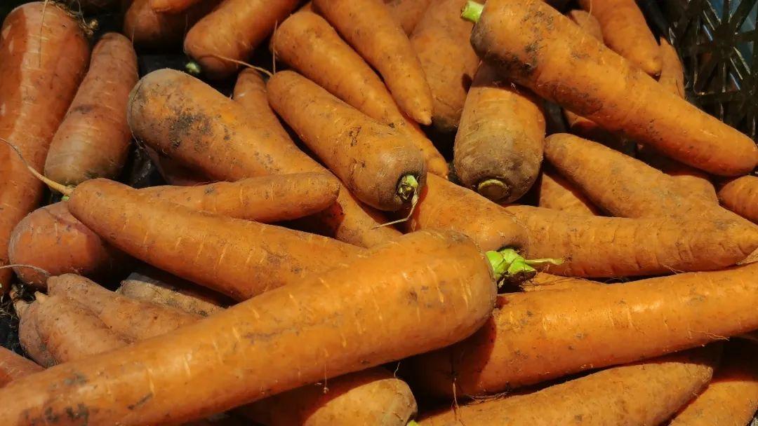 补硒解毒重金属(硒对有毒重金属有解毒作用吗)-硒宝网