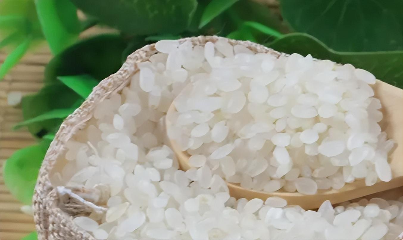 明月山富硒大米怎么样（明月山米厂）-硒宝网