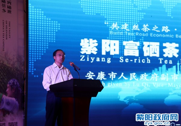 紫阳富硒茶专卖店西安(专卖西安茶店紫阳富硒茶多少钱)-硒宝网