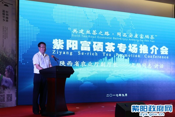 紫阳富硒茶专卖店西安(专卖西安茶店紫阳富硒茶多少钱)-硒宝网