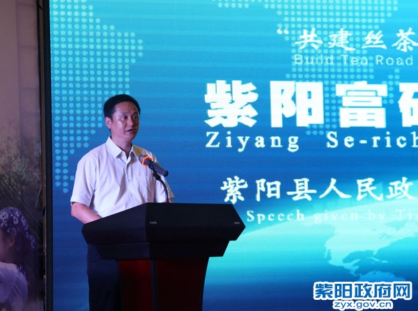 紫阳富硒茶专卖店西安(专卖西安茶店紫阳富硒茶多少钱)-硒宝网