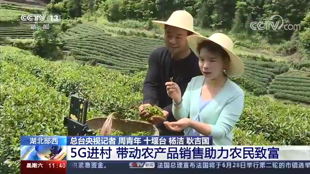 卖富硒茶直播间(直播卖茶套路)-硒宝网