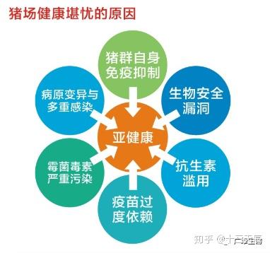 给羊补硒时能驱虫吗(羊驱虫口服药)-硒宝网