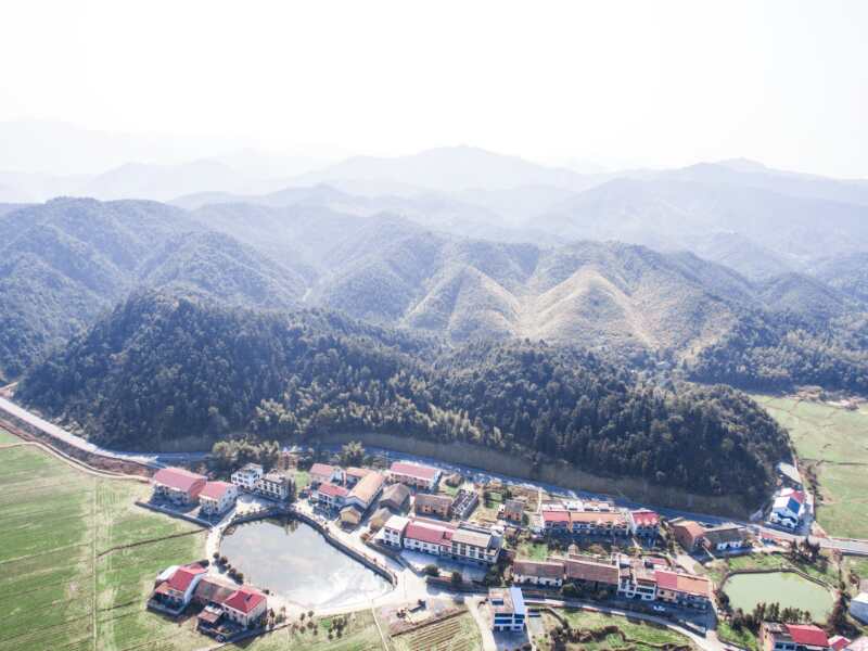 腾益生富硒藤茶(藤硒茶的作用)-硒宝网