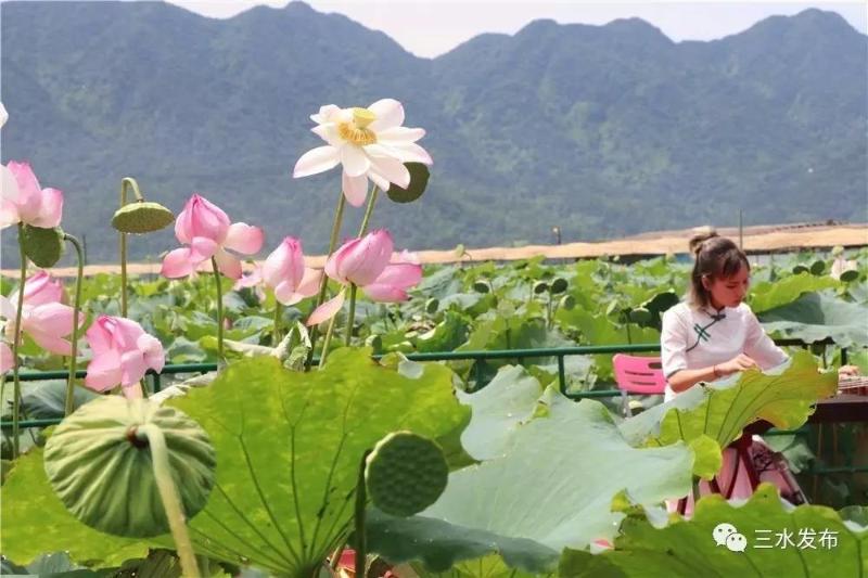 富硒水果评测（富硒水果前十名）-硒宝网