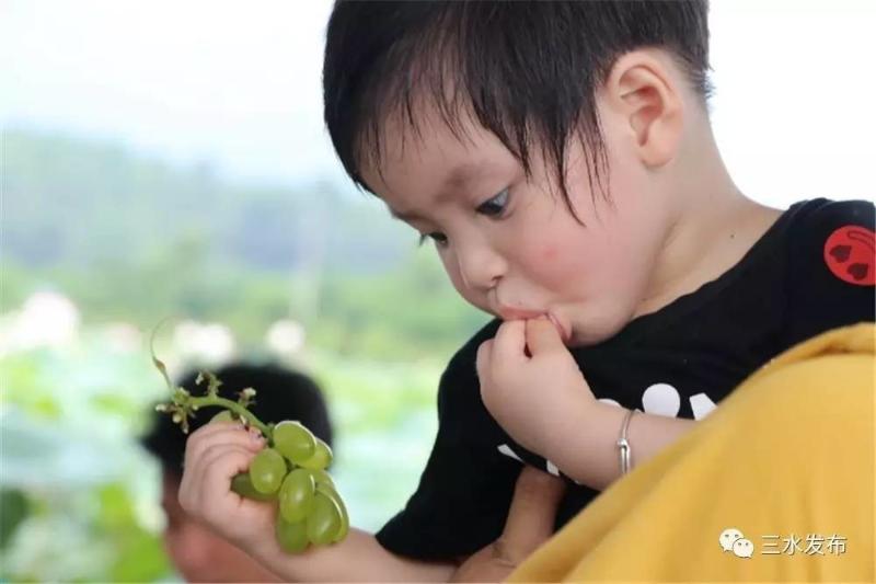 富硒水果评测（富硒水果前十名）-硒宝网