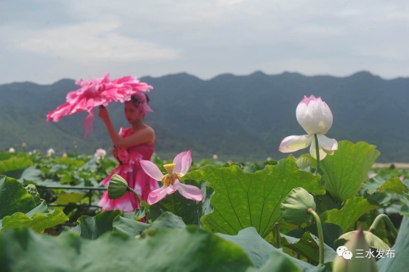 富硒水果评测（富硒水果前十名）-硒宝网