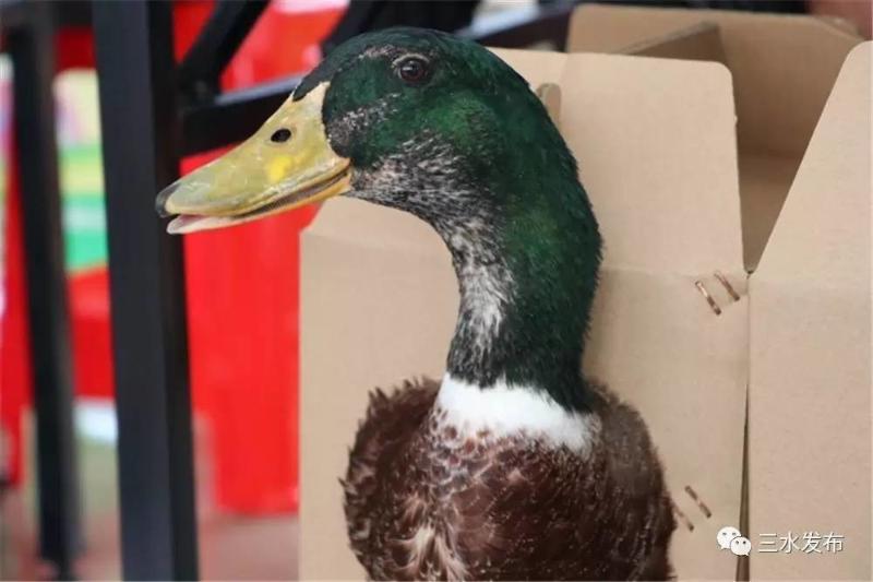 富硒水果评测（富硒水果前十名）-硒宝网