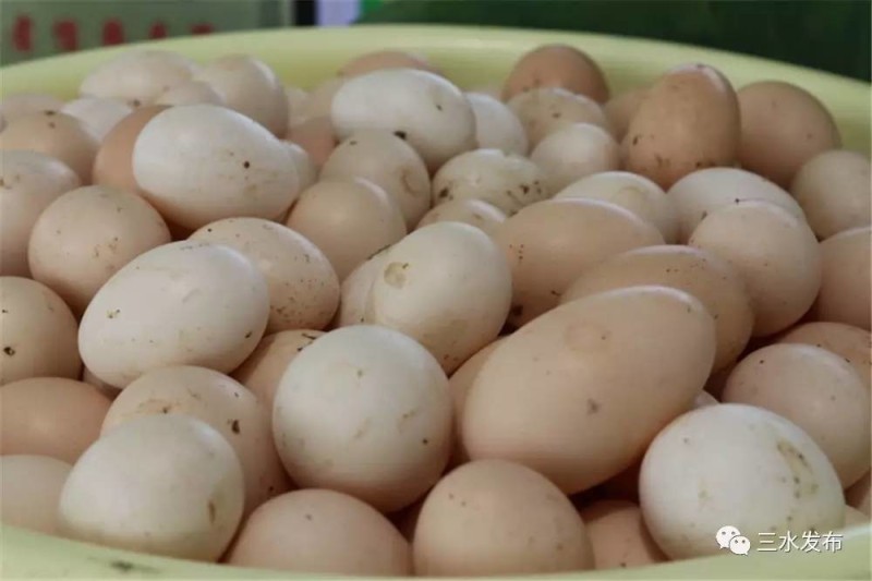 富硒水果评测（富硒水果前十名）-硒宝网