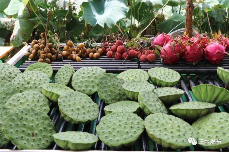 富硒水果评测（富硒水果前十名）-硒宝网