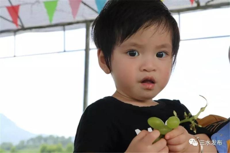 富硒水果评测（富硒水果前十名）-硒宝网