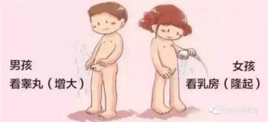 补硒能否提高性功能（能否补性功能提高硒元素）-硒宝网