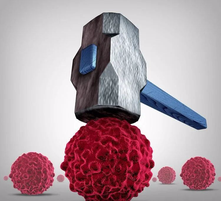 补硒要吃什么食物（吃硒补什么）-硒宝网