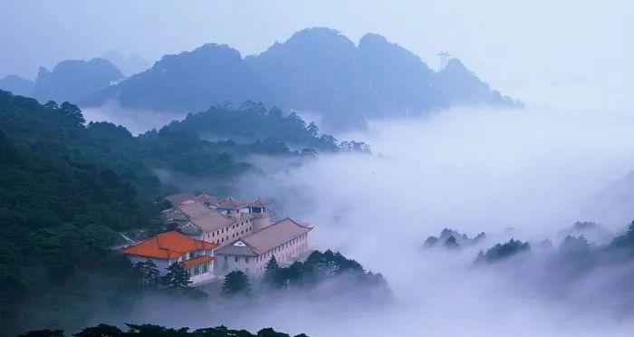 醇香的恩施富硒茶价格(湖北恩施富硒茶叶)-硒宝网