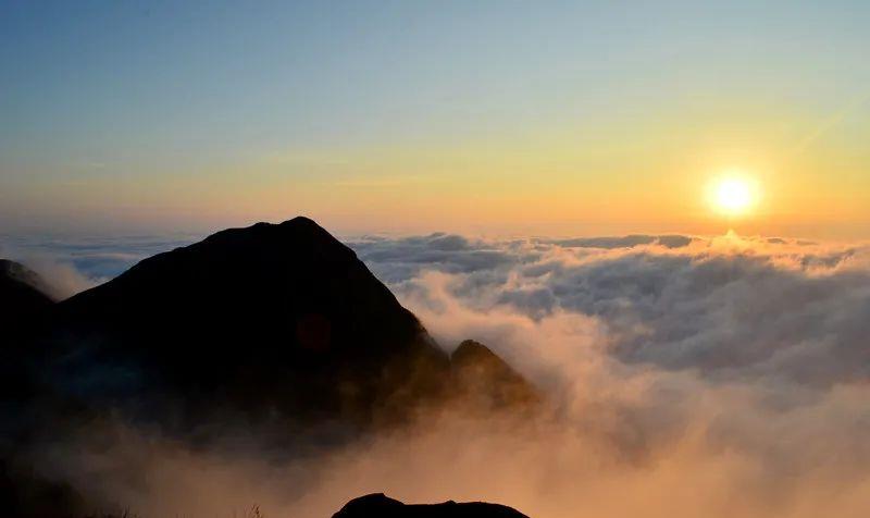 醇香的恩施富硒茶价格(湖北恩施富硒茶叶)-硒宝网