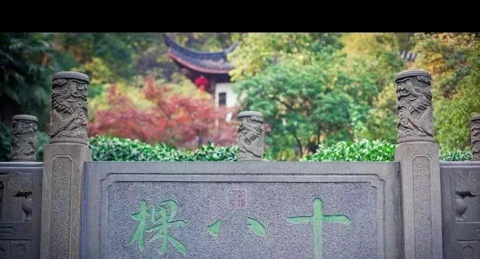 醇香的恩施富硒茶价格(湖北恩施富硒茶叶)-硒宝网