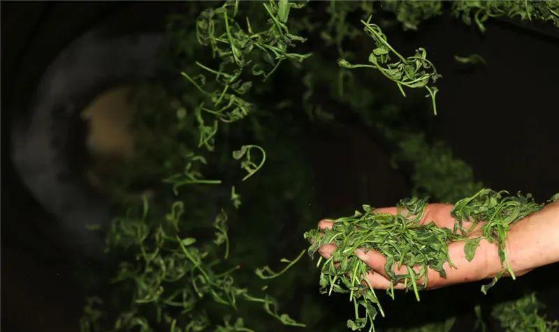 醇香的恩施富硒茶价格(湖北恩施富硒茶叶)-硒宝网