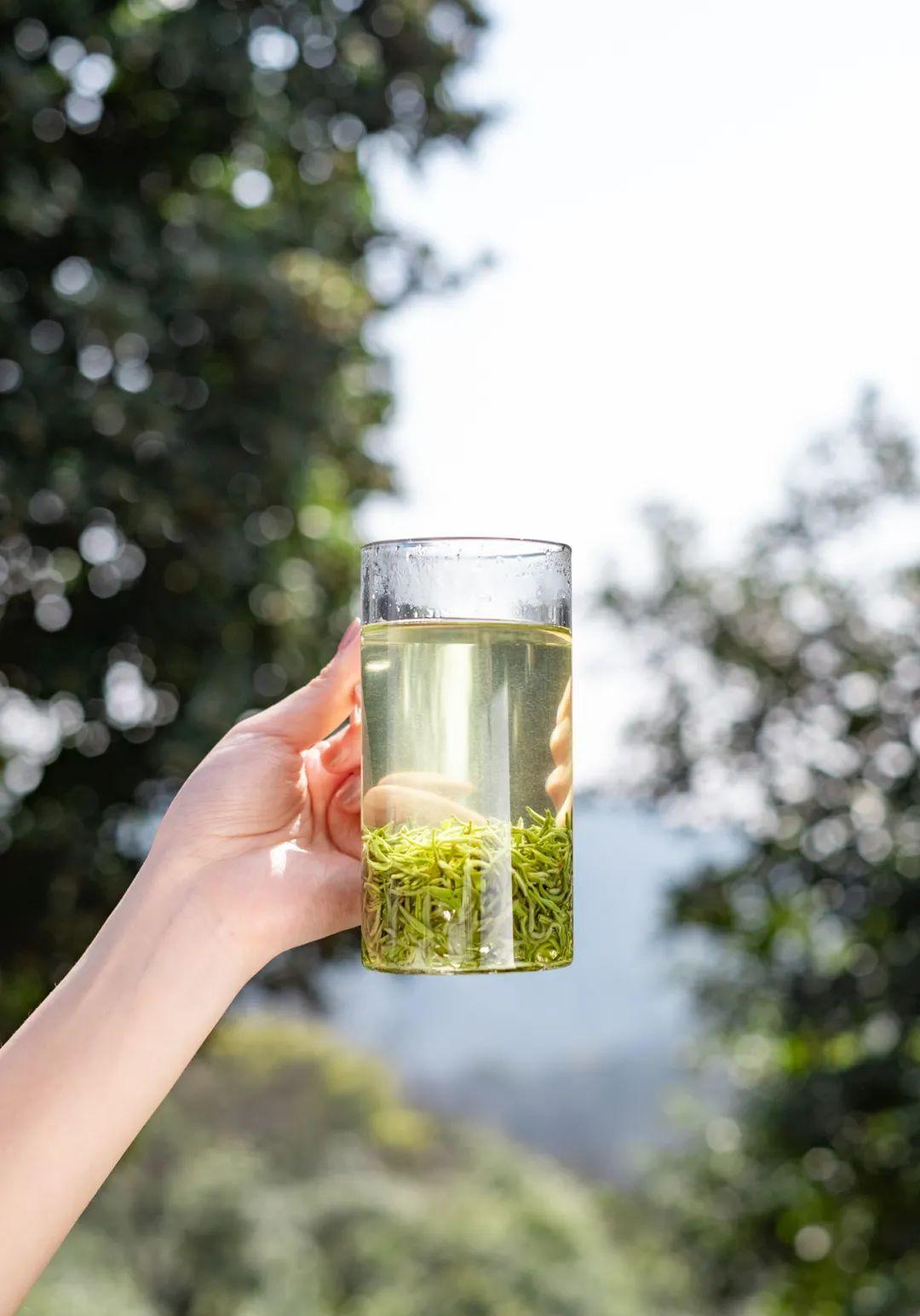 醇香的恩施富硒茶价格(湖北恩施富硒茶叶)-硒宝网