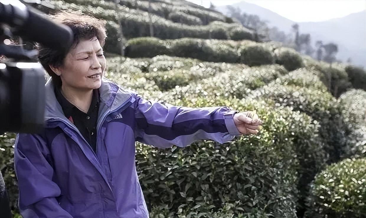 醇香的恩施富硒茶价格(湖北恩施富硒茶叶)-硒宝网