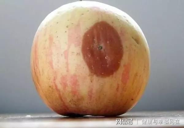 肝癌患者用不用补硒(肝癌患者吃硒有用吗)-硒宝网