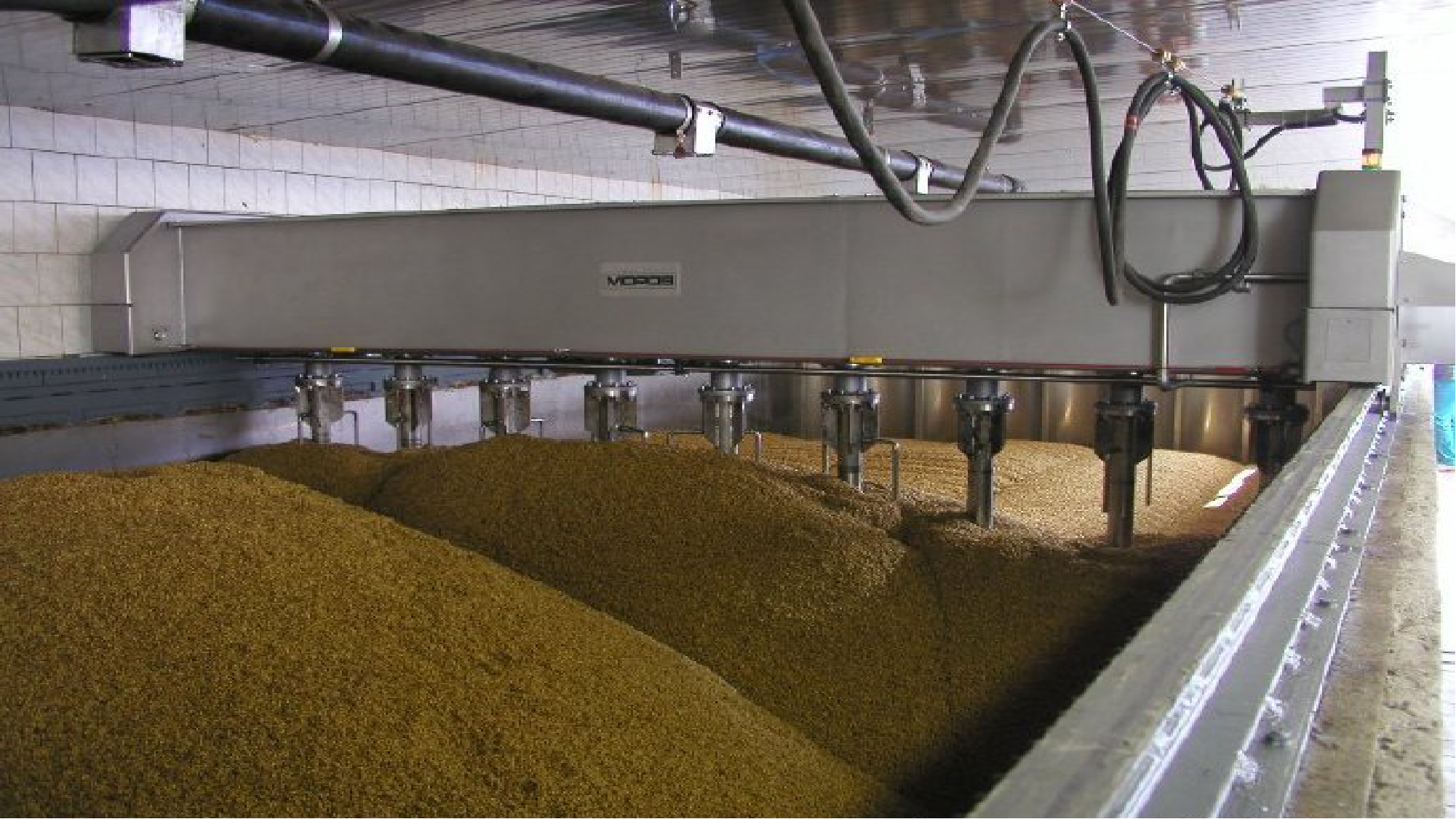 麦芽硒片富硒补硒吗（硒麦芽片对身体有害吗）-硒宝网