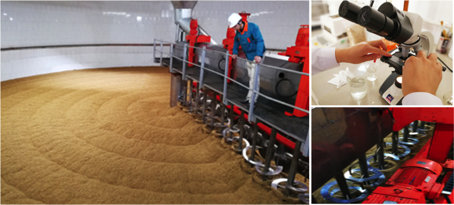 麦芽硒片富硒补硒吗（硒麦芽片对身体有害吗）-硒宝网