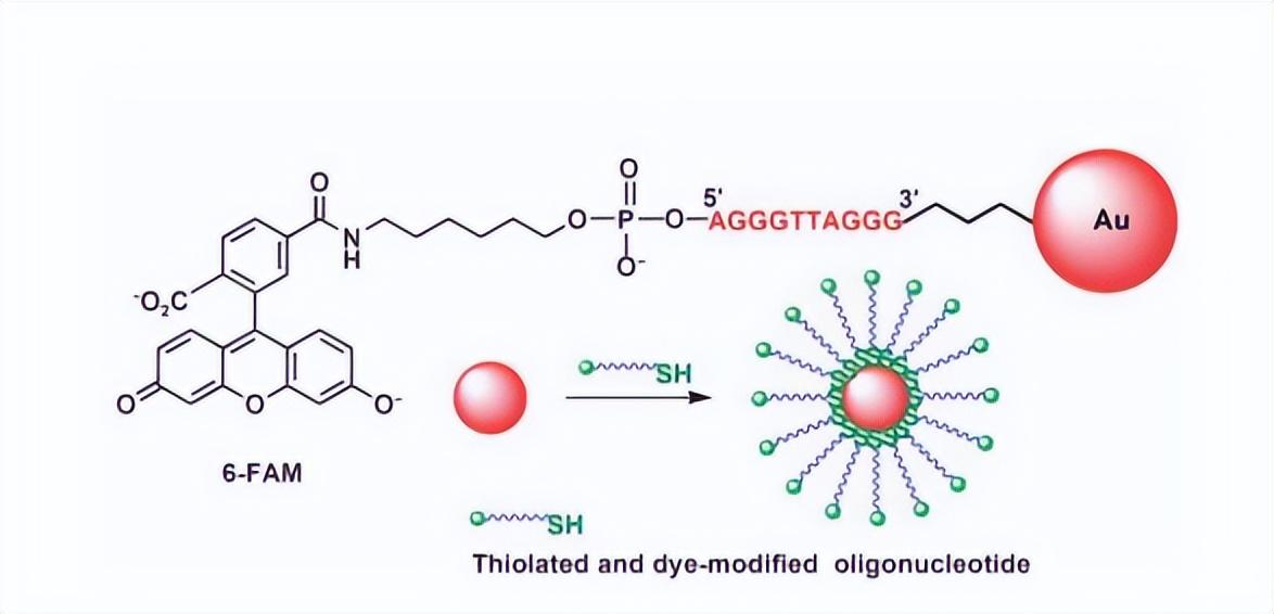 含硒产品检测（硒含量检测仪器）-硒宝网