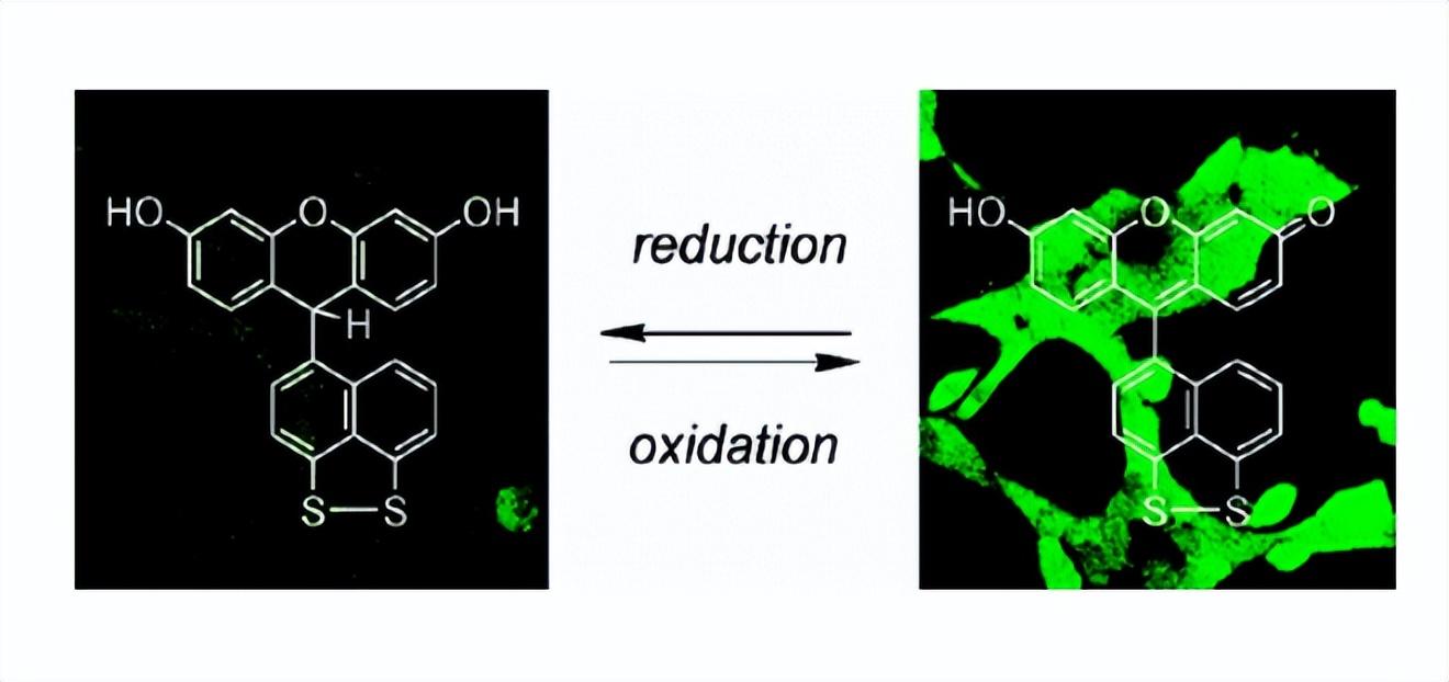 含硒产品检测（硒含量检测仪器）-硒宝网
