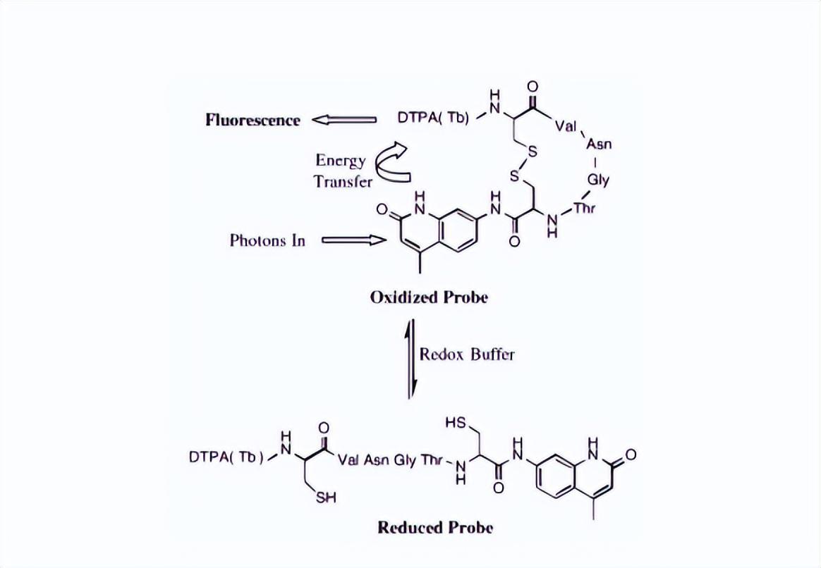 含硒产品检测（硒含量检测仪器）-硒宝网
