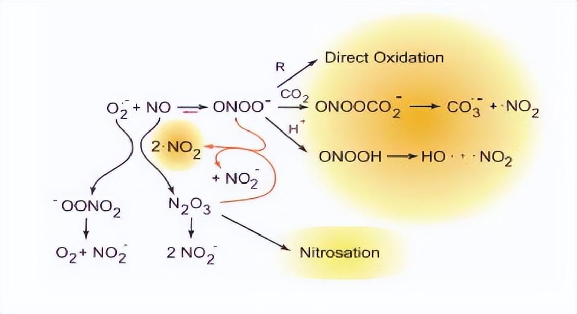 含硒产品检测（硒含量检测仪器）-硒宝网