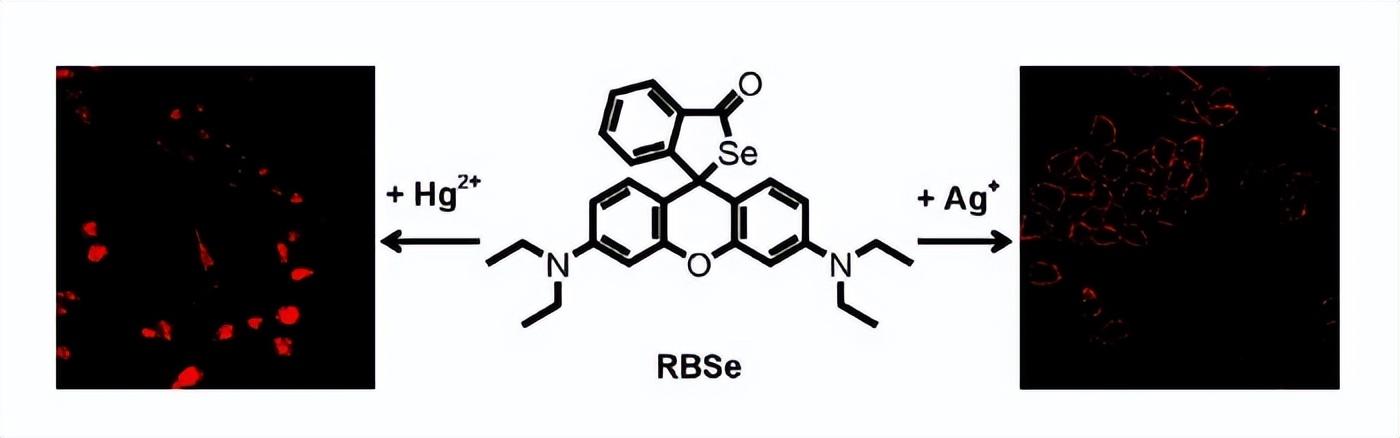 含硒产品检测（硒含量检测仪器）-硒宝网