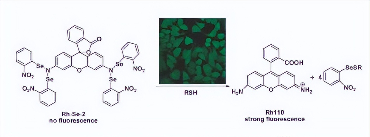 含硒产品检测（硒含量检测仪器）-硒宝网