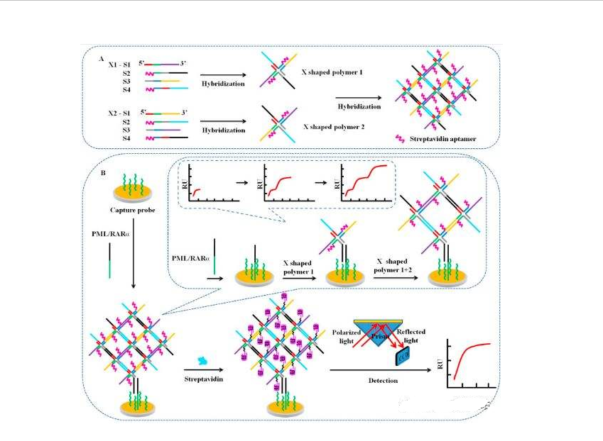 含硒产品检测（硒含量检测仪器）-硒宝网