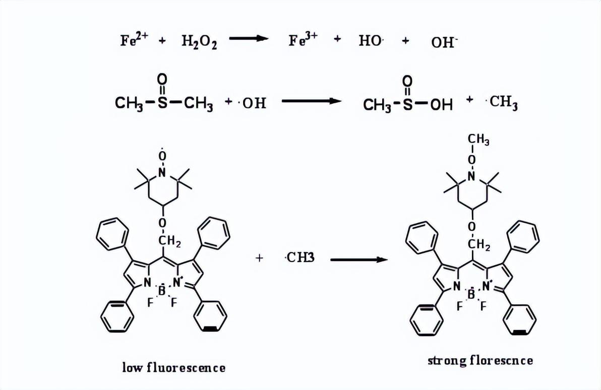 含硒产品检测（硒含量检测仪器）-硒宝网