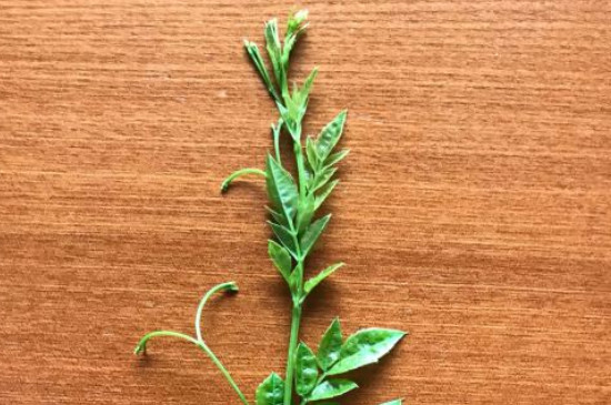 醇香的恩施富硒茶价格(湖北恩施硒茶价格)-硒宝网