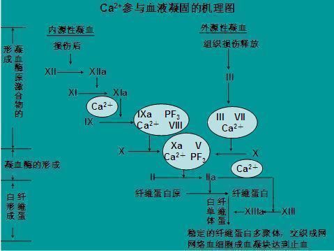 锌硒宝需要空腹（空腹吃锌硒宝有什么副作用吗）-硒宝网