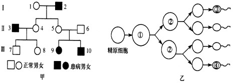 男性不育锌硒宝（针对男性锌硒宝哪个牌子好）-硒宝网