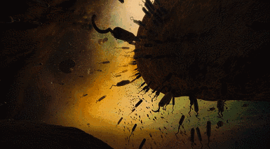 锌硒宝备孕男宝（男士备孕锌硒宝片十大排行）-硒宝网