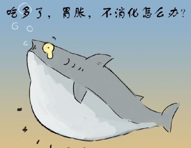 吃锌硒宝坏肚子（锌硒片吃了会拉肚子吗）-硒宝网