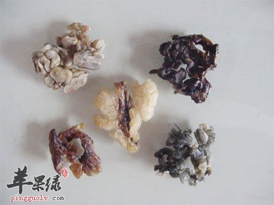 锌硒宝放开水里(锌硒宝可以排铅吗)-硒宝网