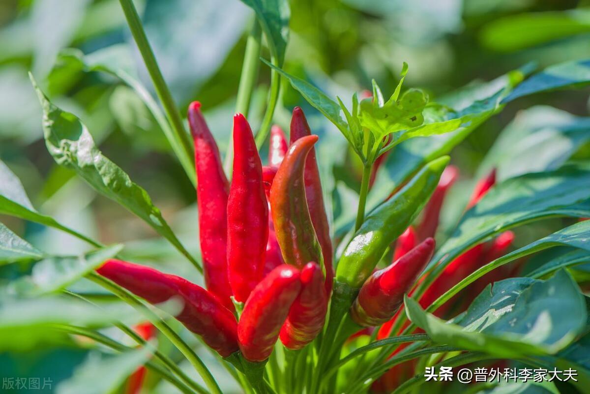 吃锌硒宝片壮阳（锌片壮阳宝吃硒片有用吗）-硒宝网