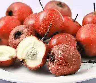 孕吐吃锌硒宝吗(孕妇吃锌硒宝)-硒宝网