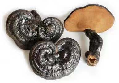 孕吐吃锌硒宝吗(孕妇吃锌硒宝)-硒宝网