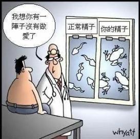 锌硒宝备孕天涯（锌硒宝备孕）-硒宝网