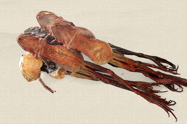 锌硒宝片体黄金(锌黄金片体宝硒含量多少)-硒宝网