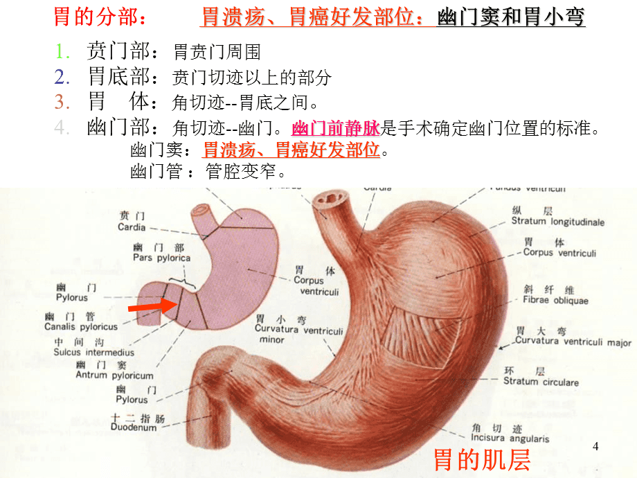 锌硒宝片减肥吗(锌硒宝片吃法)-硒宝网