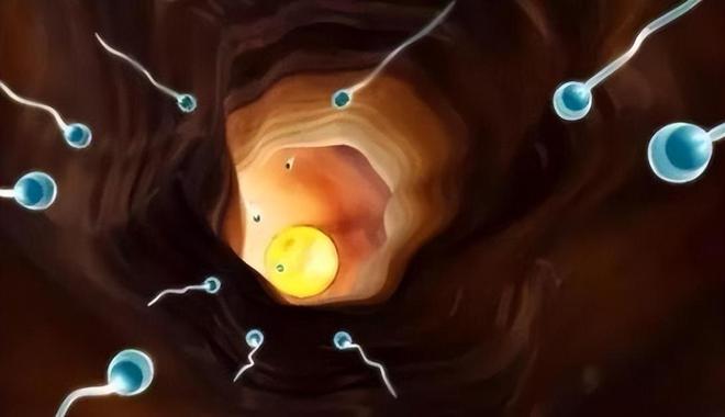 锌硒宝片管用吗(锌硒宝片成分表)-硒宝网