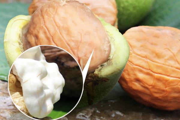 仁和绿锌硒宝片（仁和绿健源牌锌硒宝咀嚼片）-硒宝网